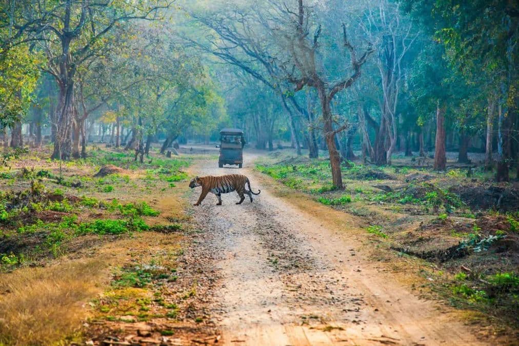 NAGARHOLE